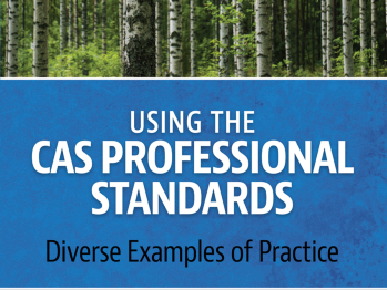 Using the CAS Professional Standards book cover